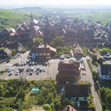 Gewurztraminer - Studio Au Pied Du Vignoble - Renove Recemment - Parking Gratuit Olenevka Ngoại thất bức ảnh