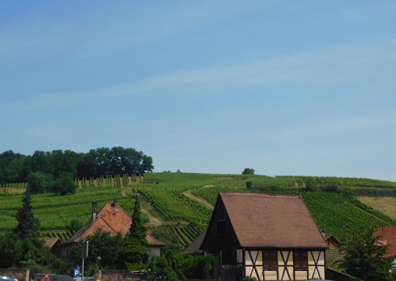 Gewurztraminer - Studio Au Pied Du Vignoble - Renove Recemment - Parking Gratuit Olenevka Ngoại thất bức ảnh