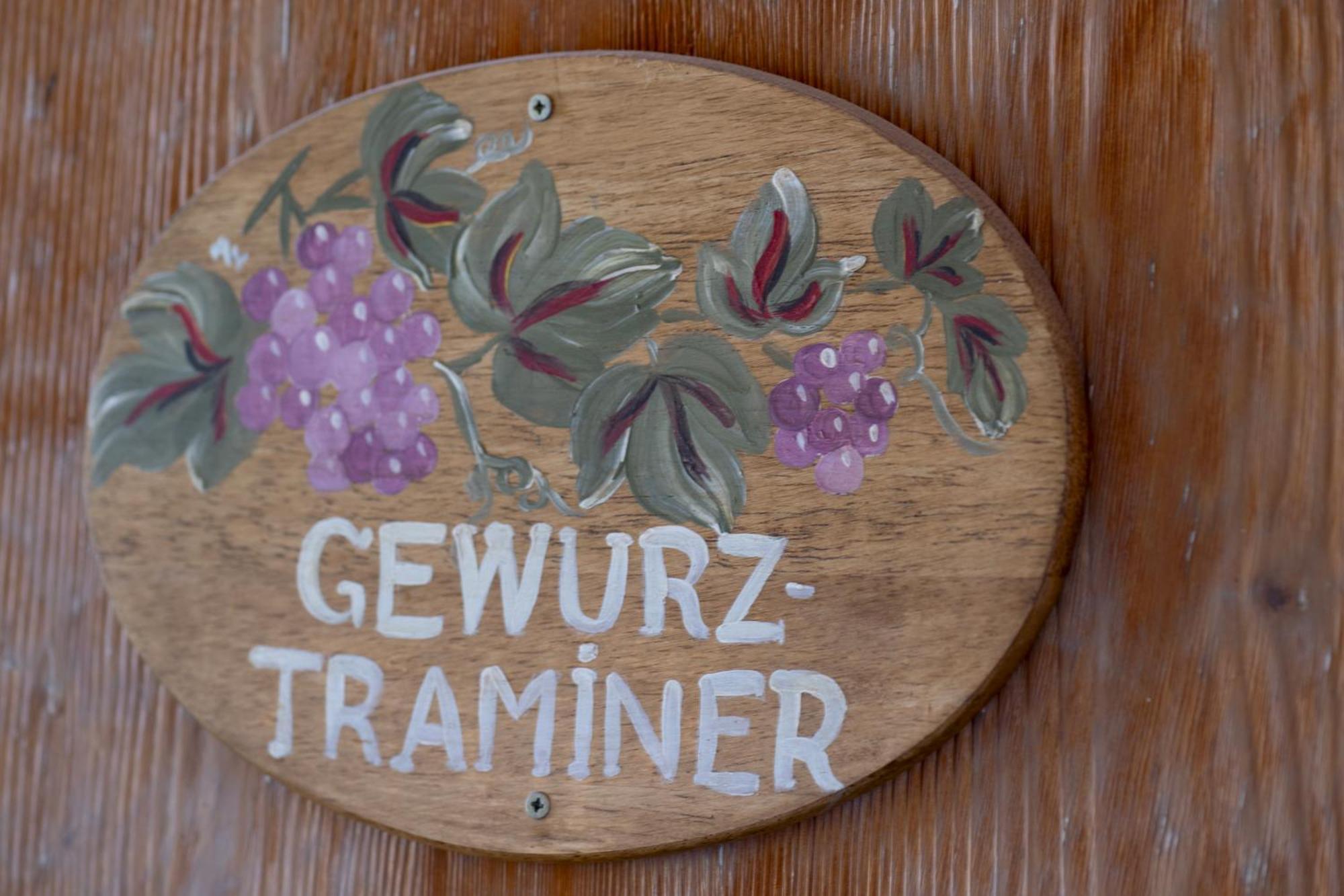 Gewurztraminer - Studio Au Pied Du Vignoble - Renove Recemment - Parking Gratuit Olenevka Ngoại thất bức ảnh