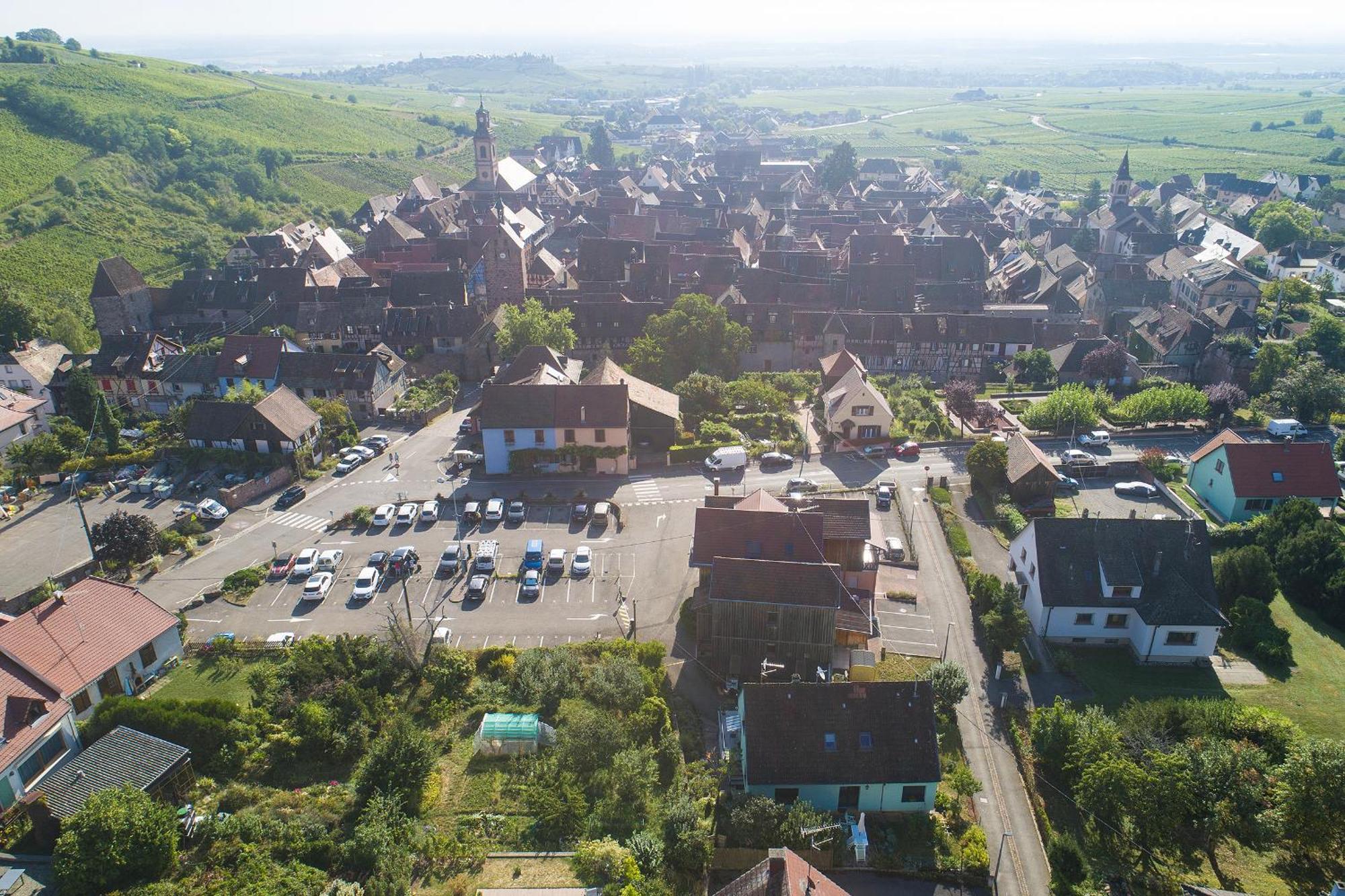 Gewurztraminer - Studio Au Pied Du Vignoble - Renove Recemment - Parking Gratuit Olenevka Ngoại thất bức ảnh